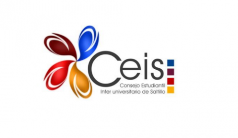 Témoignage Ceis Lille